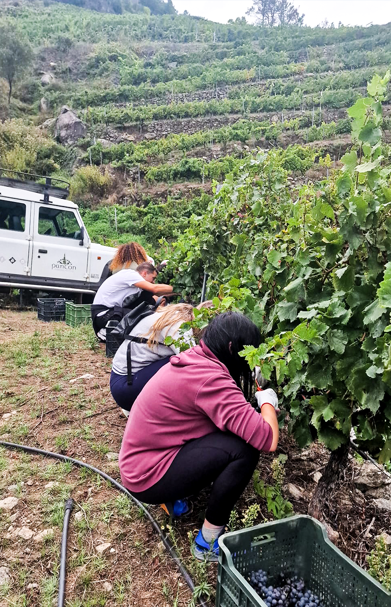 Experiencias enológicas en la Ribeira Sacra