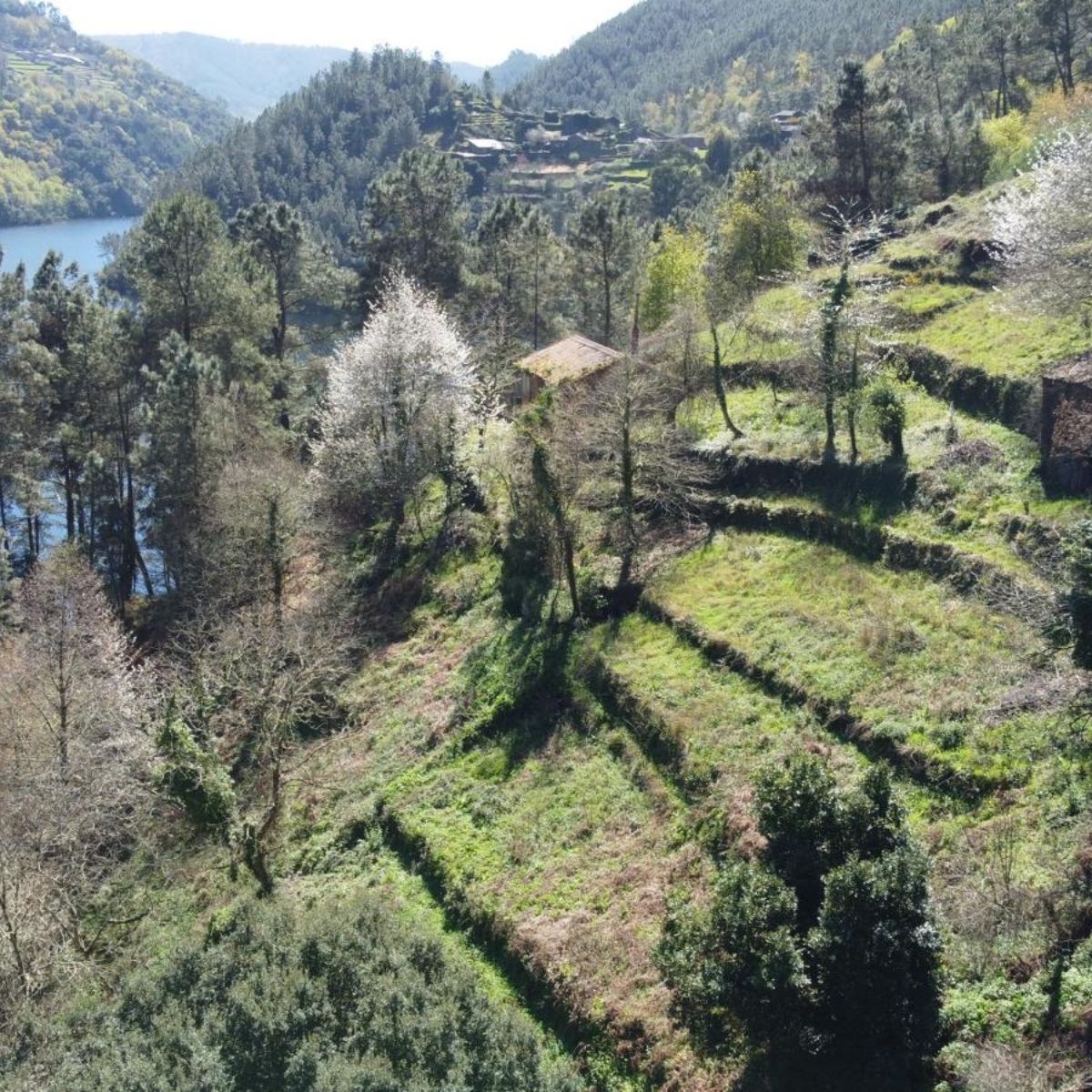 mejores-rutas-senderismo-galicia